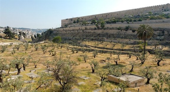 idron Valley from north with olive trees tb051906428 The Kidron Valley— Your Burial Can Point to Your Faith